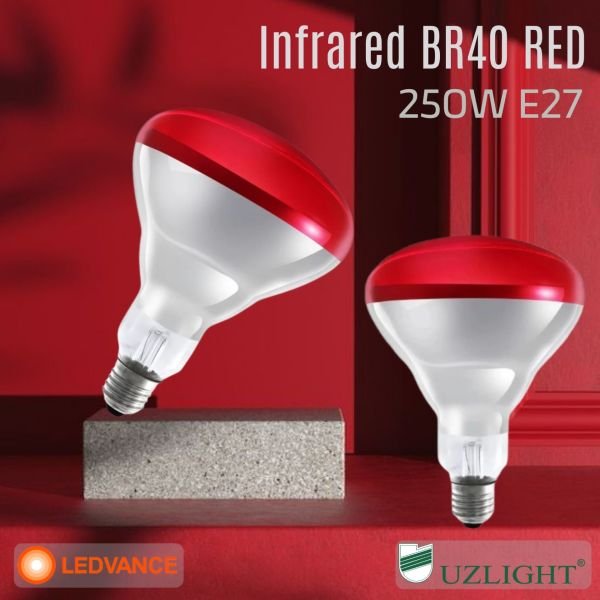 250W Infrared Isıtıcı Lamba Kırmızı E27 Duy