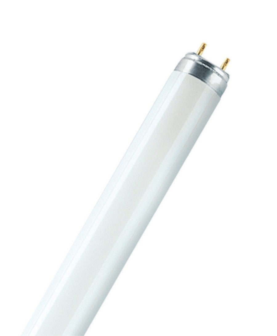 Osram ICE WHITE 36W Floresan (25'li kutu)